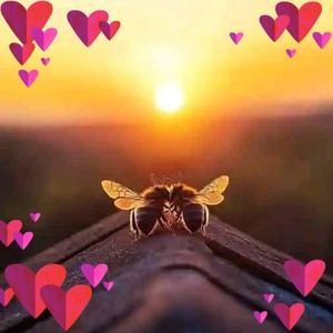 Meet your Posher, Casper